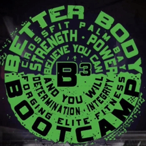 B3 Logo 300x300 B3 Logo 300x300